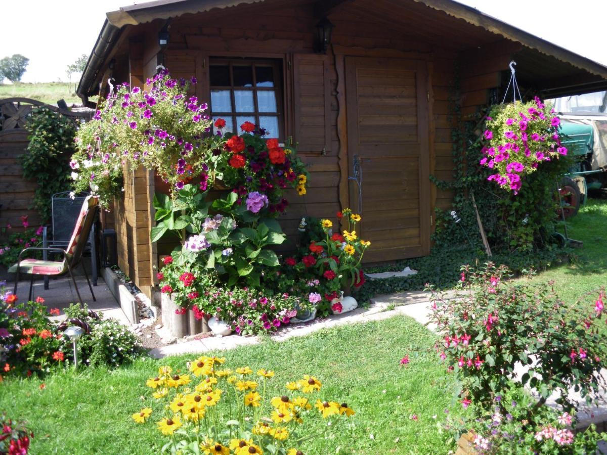 Pension Haus Ludwig Schotten Esterno foto